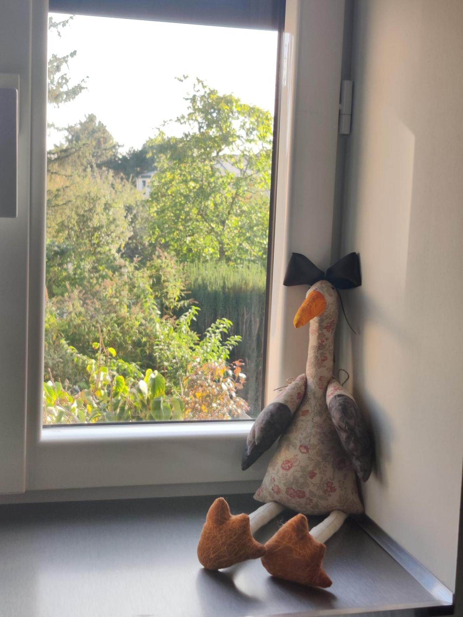 Appartement Cosy 索西姆 外观 照片